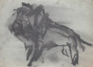 Lion drawing
